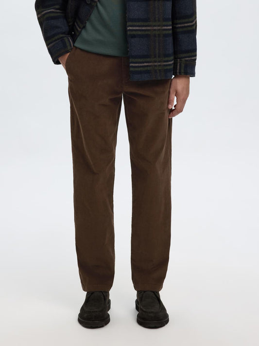 model_shot-front